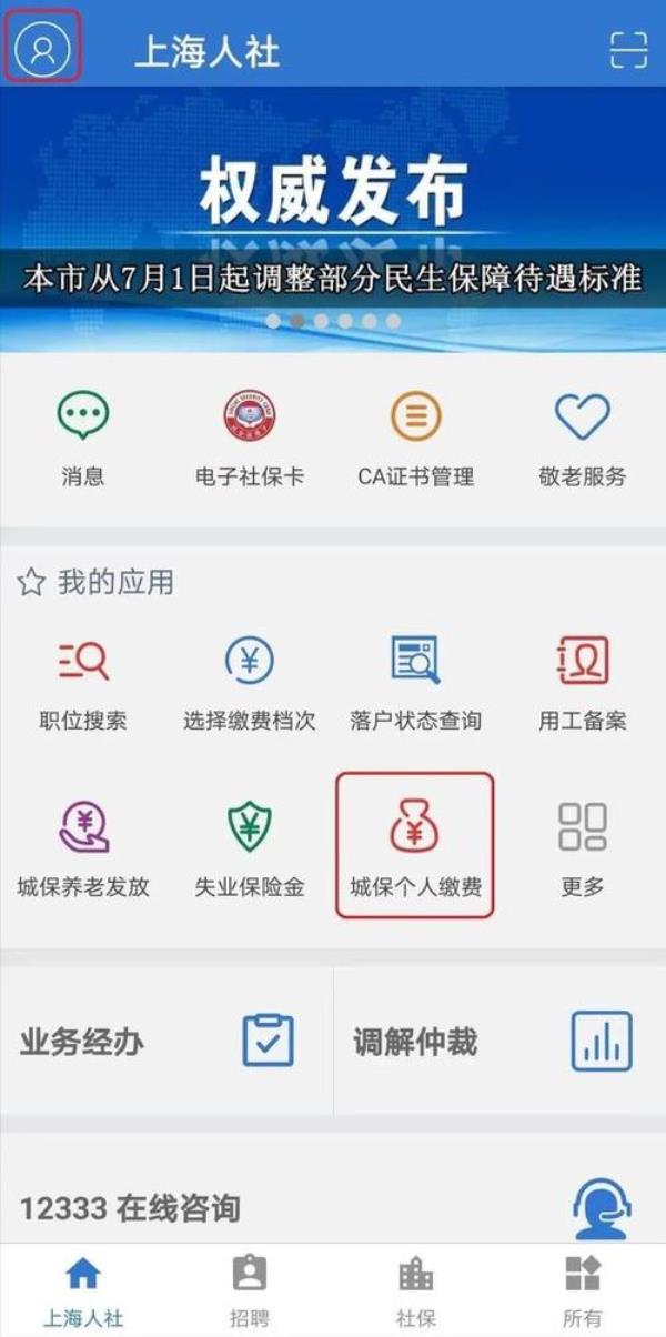 怎么查社保年报销使用额度