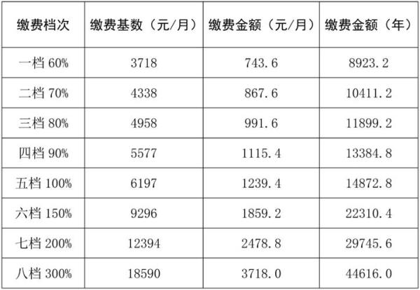 湛江社保缴费基数2022最新