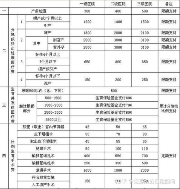 职工医保生育定额什么意思