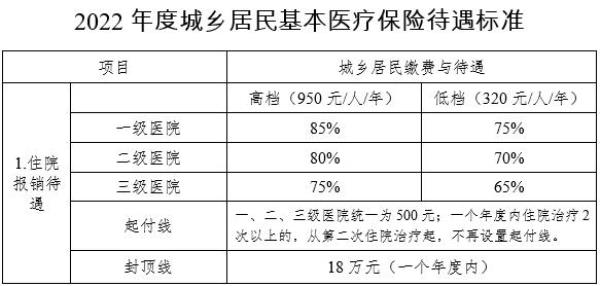 安徽亳州城乡医保怎么缴费