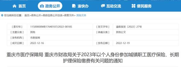 重庆如何网上交个人医疗保险