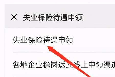 失业保险金显示已领取但没领过