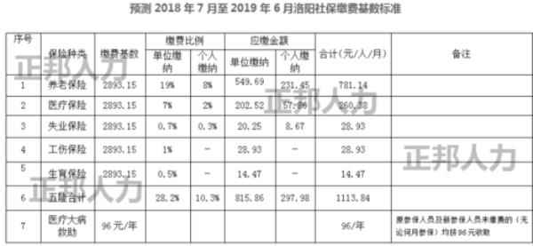 个人平均缴费基数怎么查