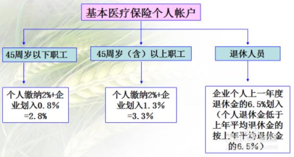 职工医保个人怎么缴纳