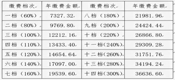 2021年武汉市流动窗口社保缴费标准