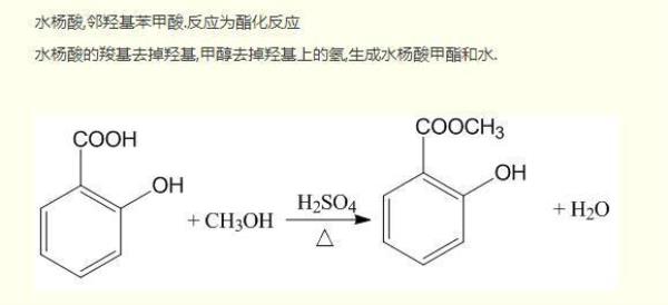 甲醇与少量硫酸反应生成什么