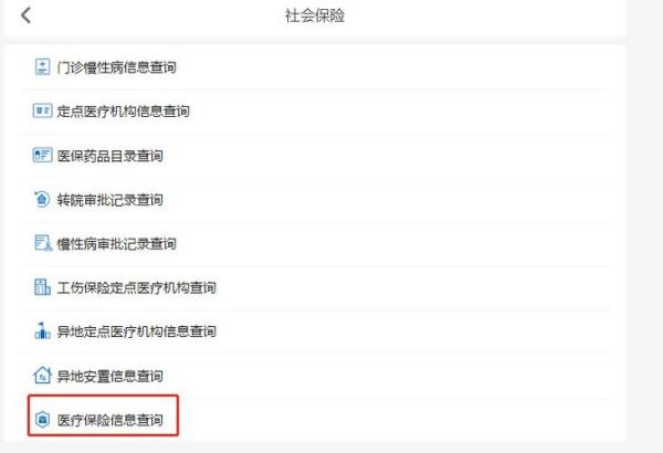 成都医疗保险在手机上怎么查