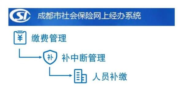 延长缴费至满15年需要什么手续