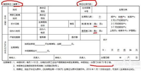 在医院报销生育险单位能看到吗