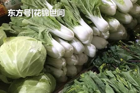 第一次卖菜批发什么菜好卖