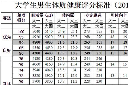 健康云怎么查大一的体测成绩