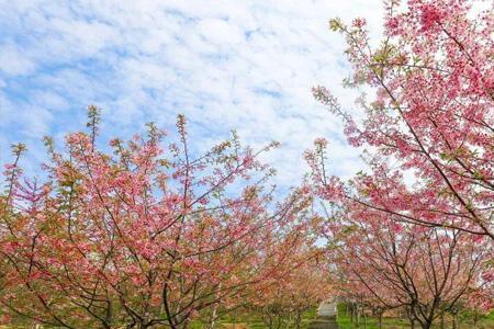 春节后福兴阁什么时候开门