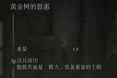 艾尔登法环怎么修改衣服重量