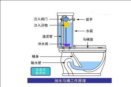 双孔马桶安装怎么堵另一个孔