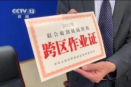 什么是作业绿色通道