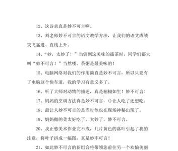 什么言什么语式造句