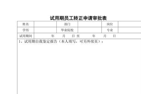 试用期一年转正是什么单位