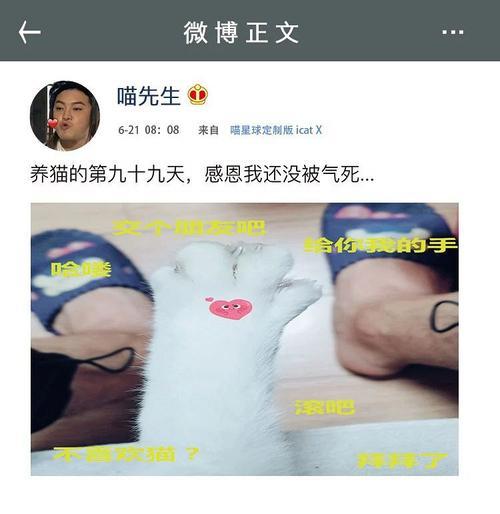 猫奴在圈内什么意思