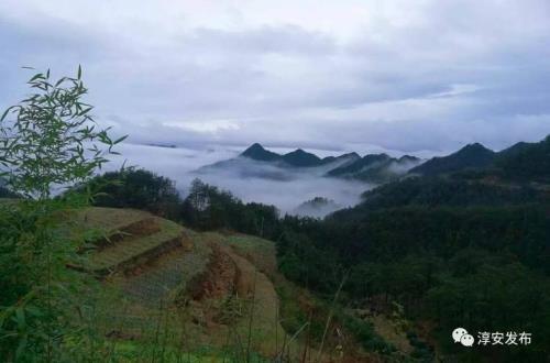 高山清渠田红红摔死结局