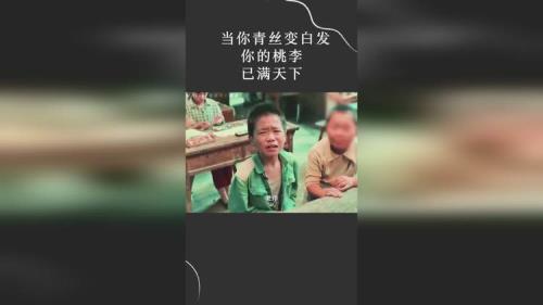 青丝已白发是什么歌