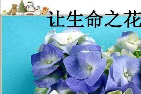 属虎的生命之花是什么花