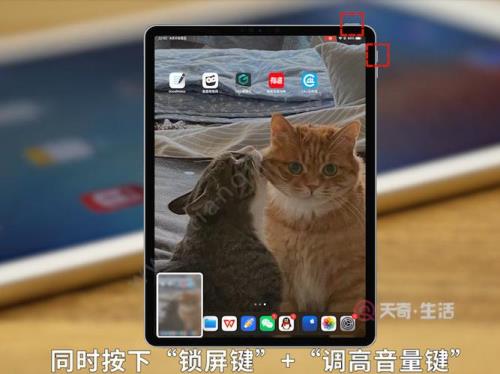 ipadair4快捷手势怎么关闭