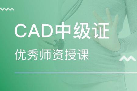 cad证书怎么查询有没有考