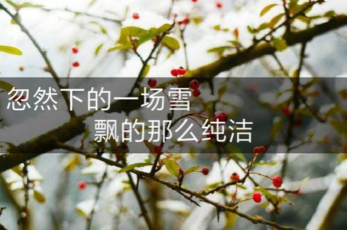 直播评论下雪是什么意思