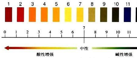 ph值5.3是什么意思