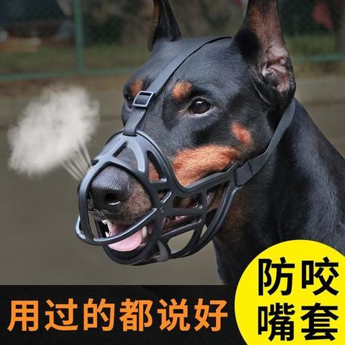 口犬可以分解几个字