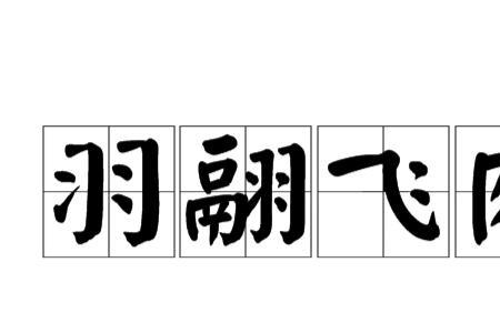 羽力读什么