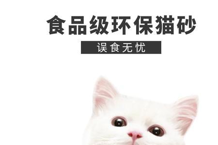 48l是多少公斤猫砂