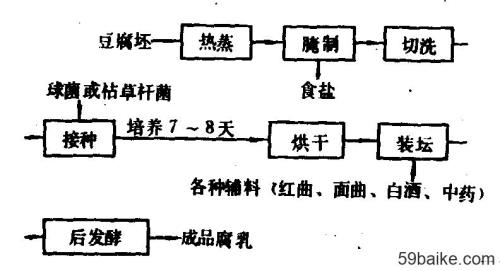 腐乳前期发酵和后期发酵的区别