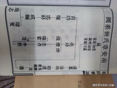 章姓人数是多少