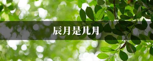 元月是几月