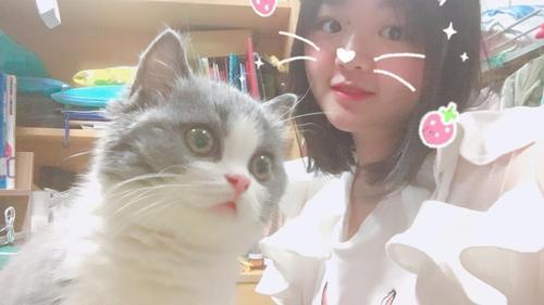 女生养猫怎么聊天