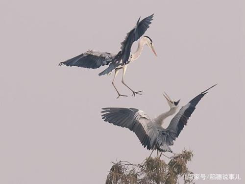 晓梦啼莺什么意思