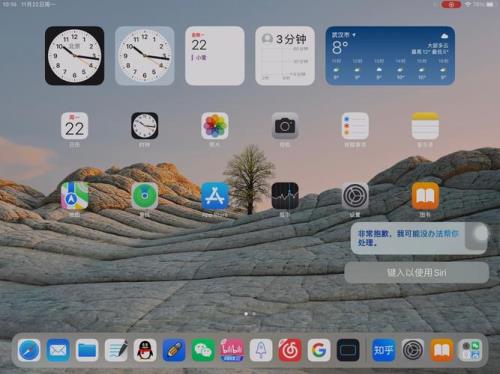 ipad有siri功能吗