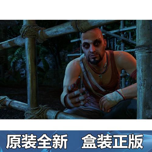 ps4孤岛惊魂4怎么存档