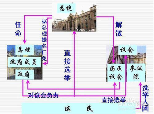 国体分为哪几类