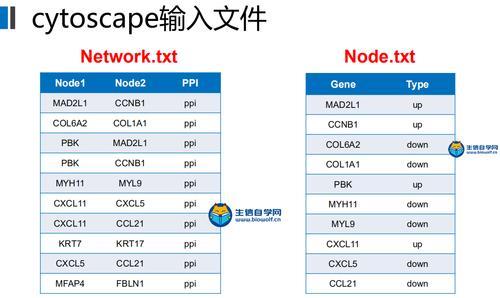 ceo什么文件