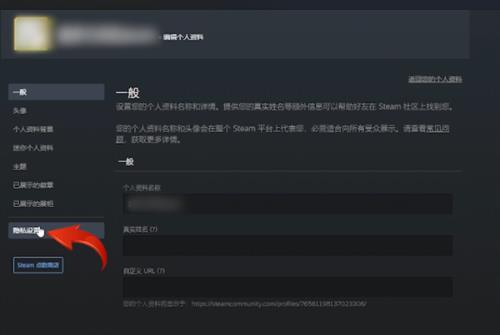 steam状态怎么改成隐私