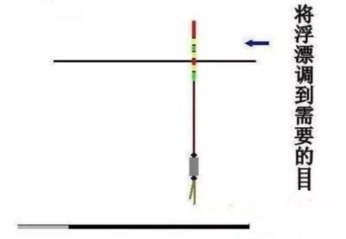 半水调漂后挂饵找底原理