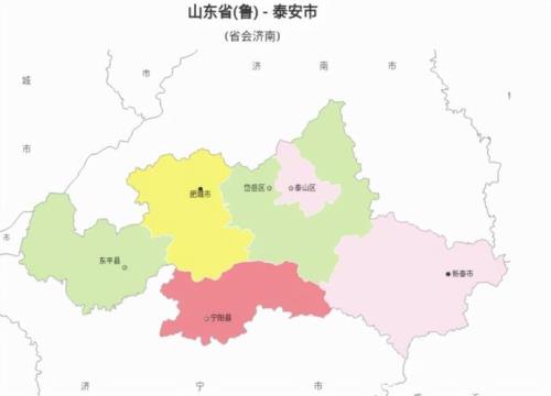 2020泰安市出生人口