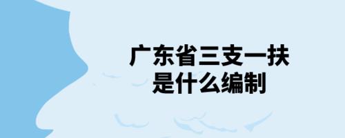 广东省2022三支一扶能入编转正吗