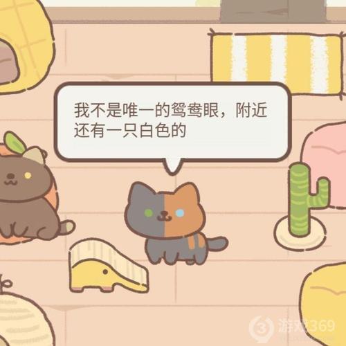 遇见你的猫怎么获取新猫