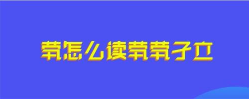 茕茕同音字