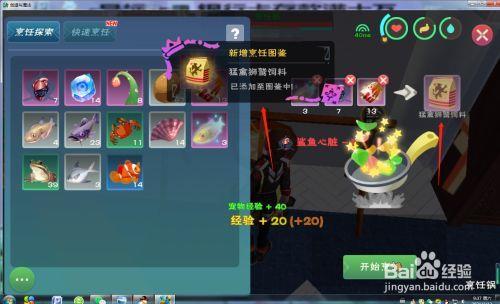 创造与魔法狮鹫保底多少饲料