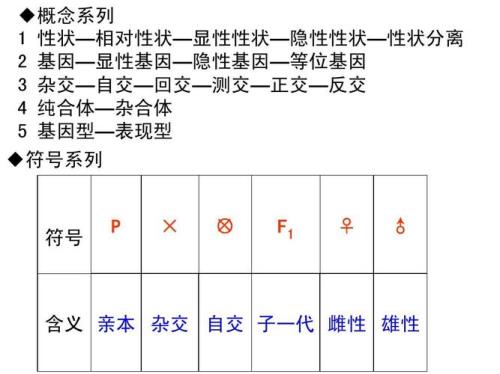 到底是什么叫自交啊