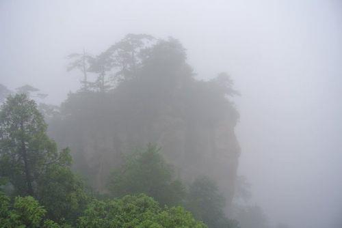 空山新雨后的新是什么意思